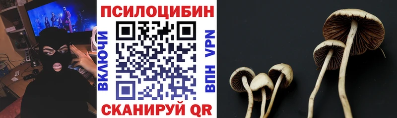 Галлюциногенные грибы Psilocybe Туран